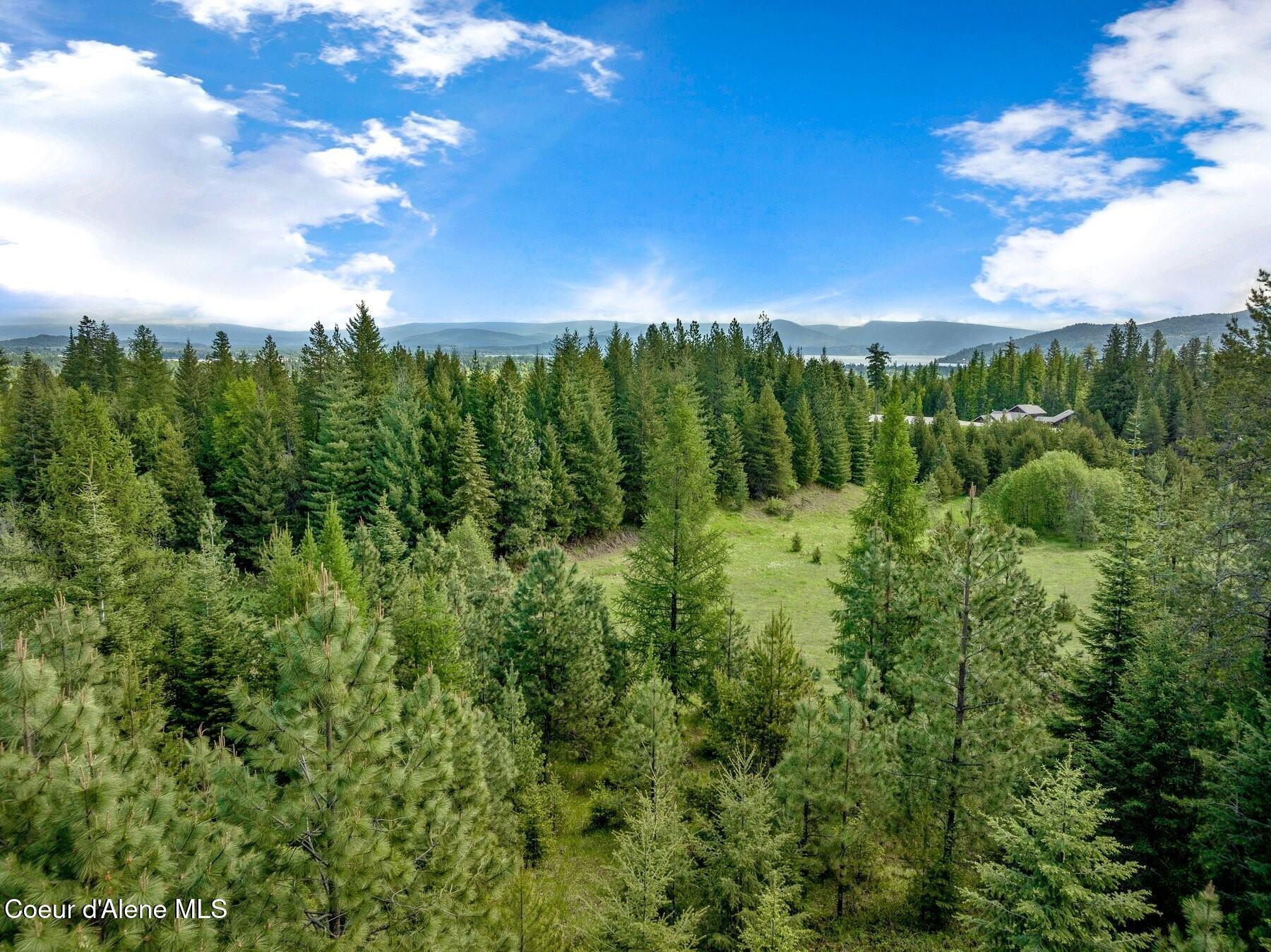 229 Ravenwood Dr, Sandpoint, Alaska image 20