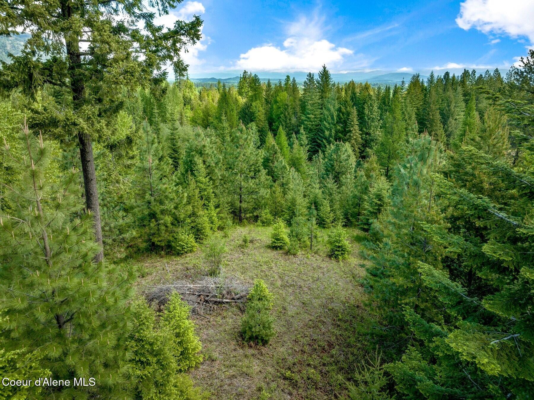 229 Ravenwood Dr, Sandpoint, Alaska image 19