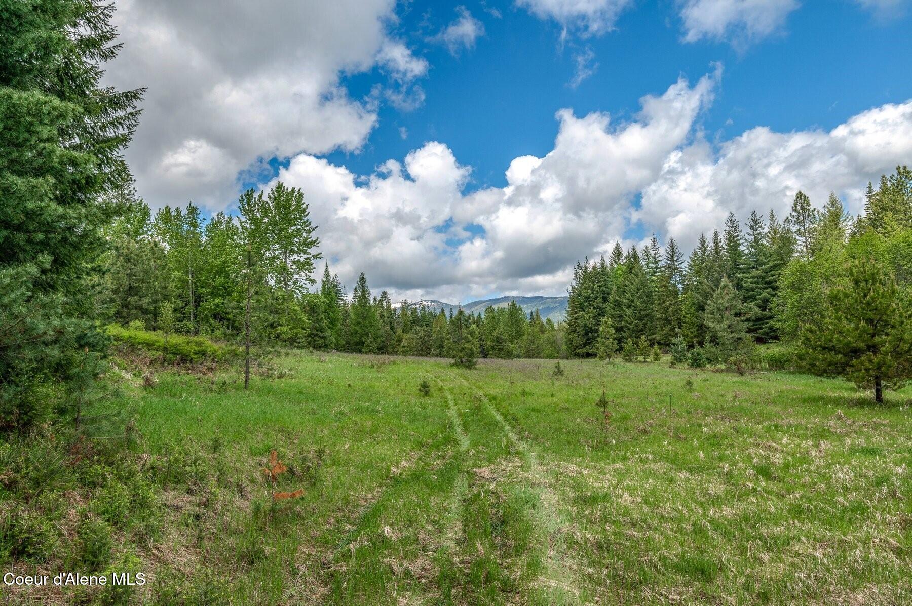 229 Ravenwood Dr, Sandpoint, Alaska image 9