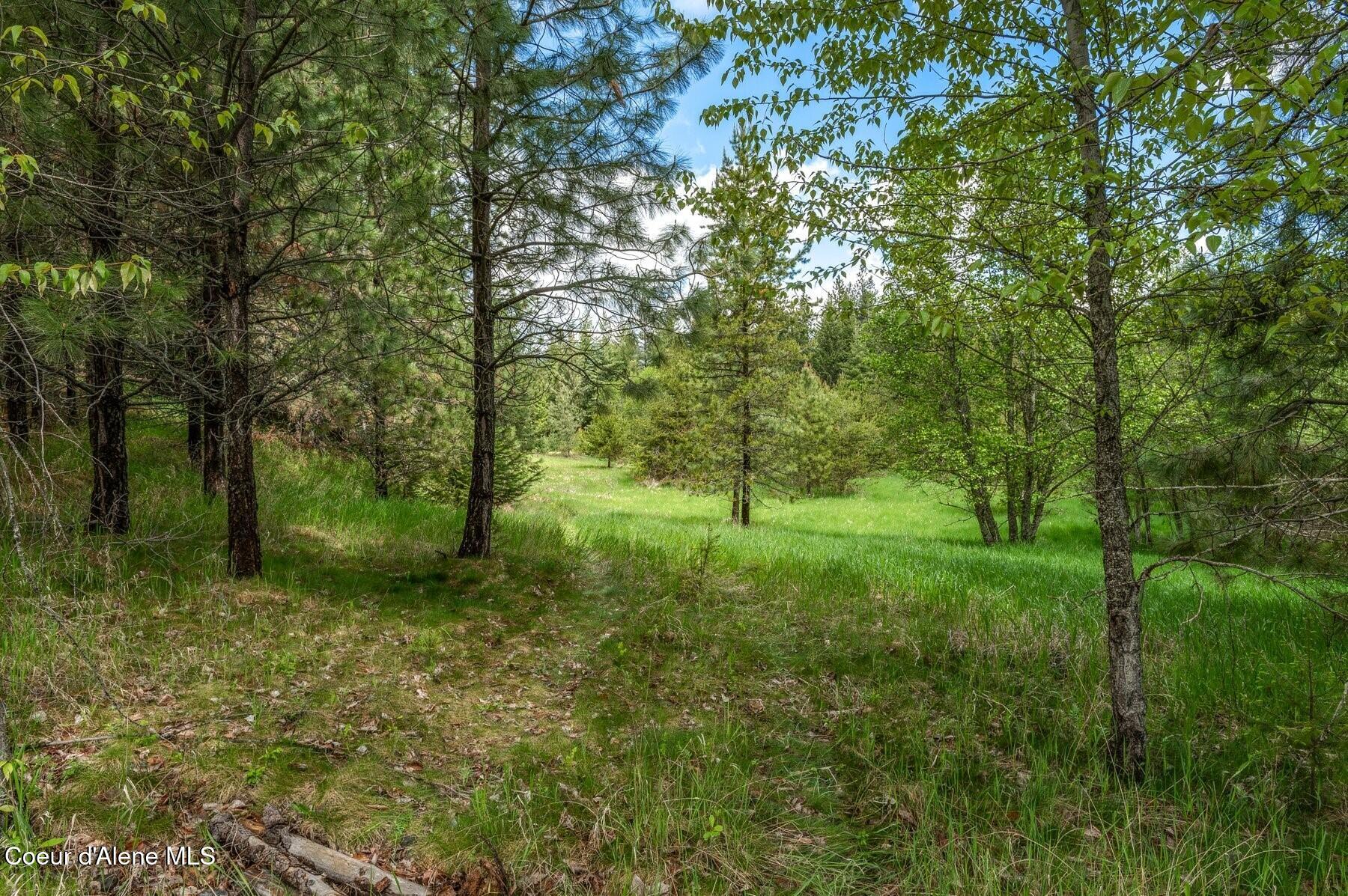 229 Ravenwood Dr, Sandpoint, Alaska image 13