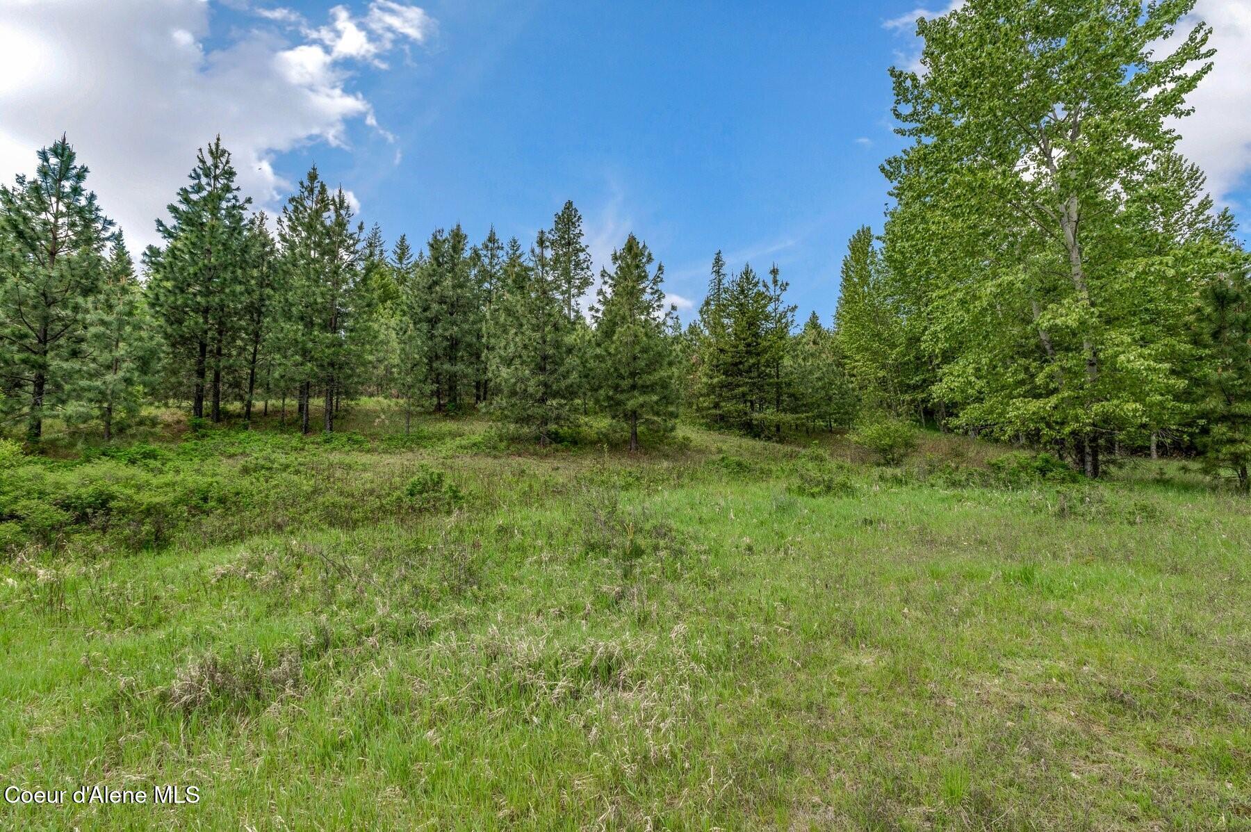229 Ravenwood Dr, Sandpoint, Alaska image 17