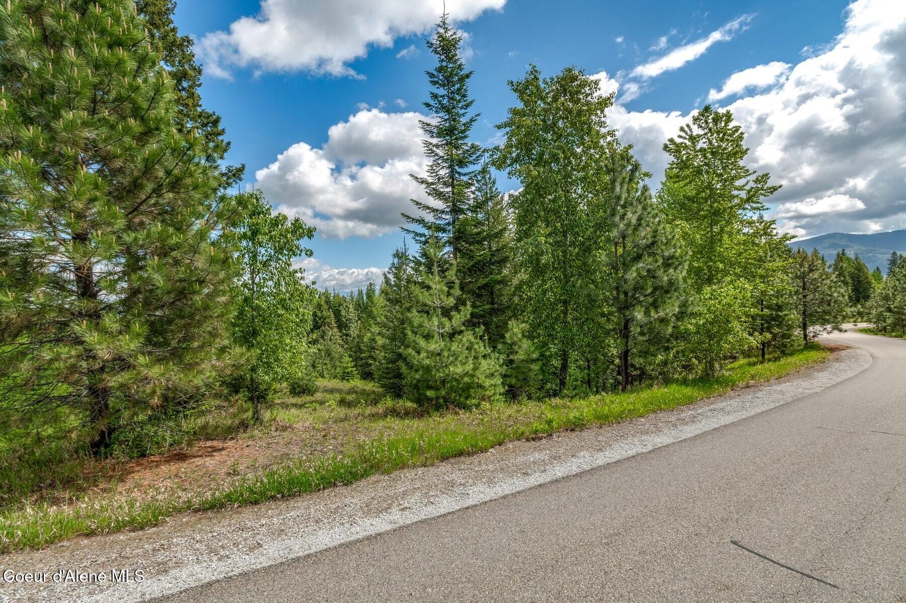 229 Ravenwood Dr, Sandpoint, Alaska image 6