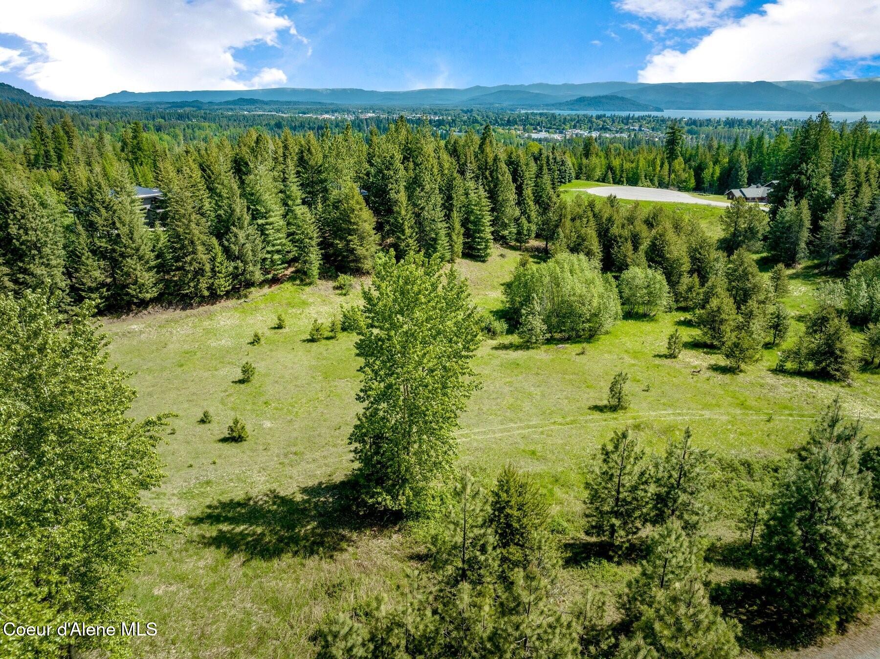 229 Ravenwood Dr, Sandpoint, Alaska image 34