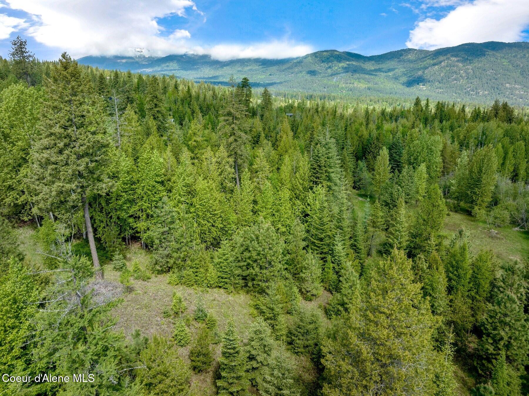 229 Ravenwood Dr, Sandpoint, Alaska image 22