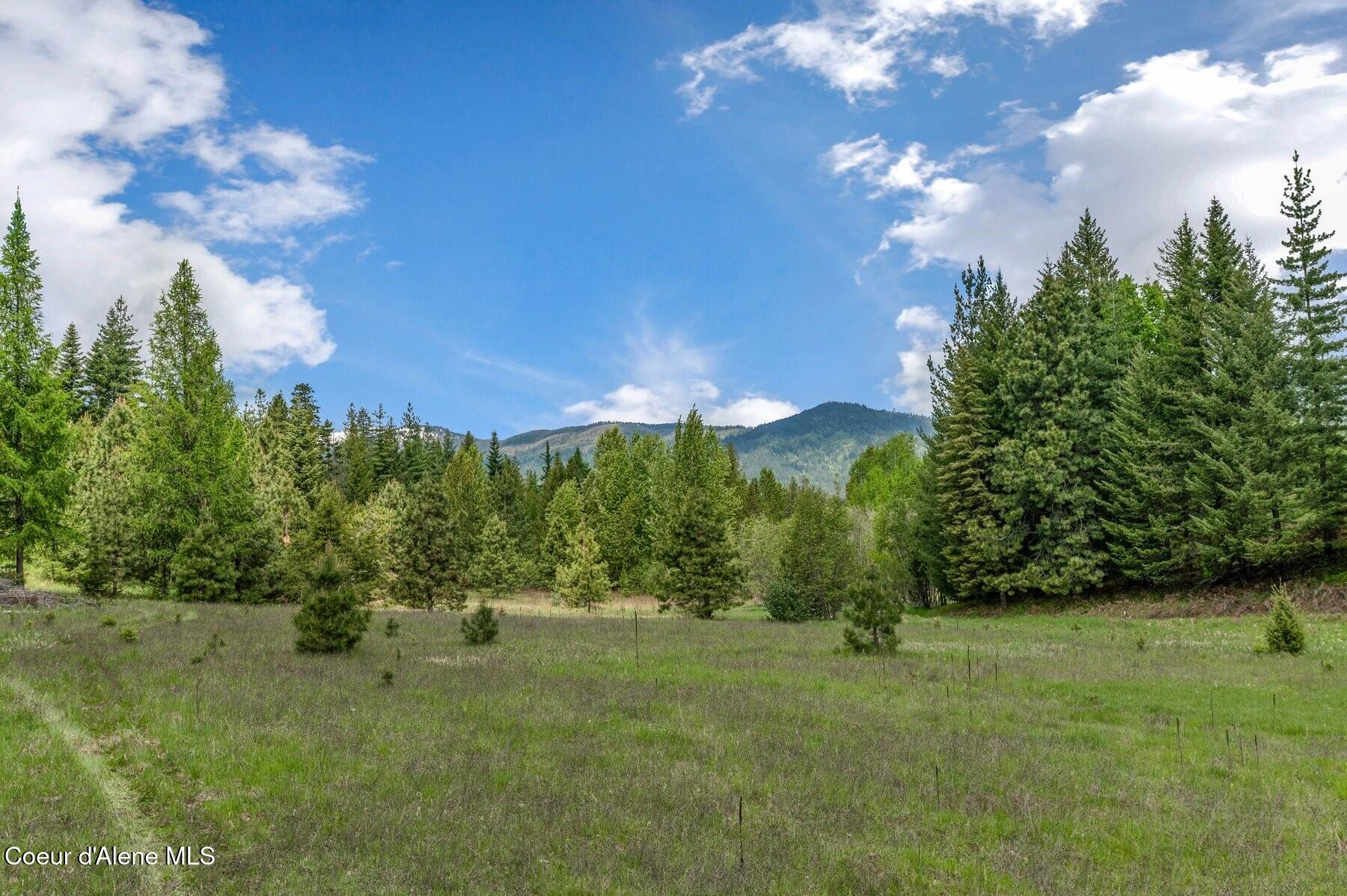 229 Ravenwood Dr, Sandpoint, Alaska image 18