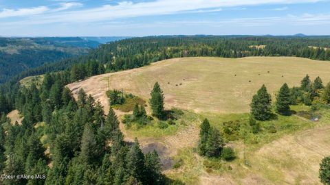 Vacant Land For Sale - 1605 Jasmine Ln, Parcels 14 & 15<br/> Weippe, ID 83553