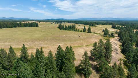 Vacant Land For Sale - 1605 Jasmine Ln, Parcels 14 & 15<br/> Weippe, ID 83553