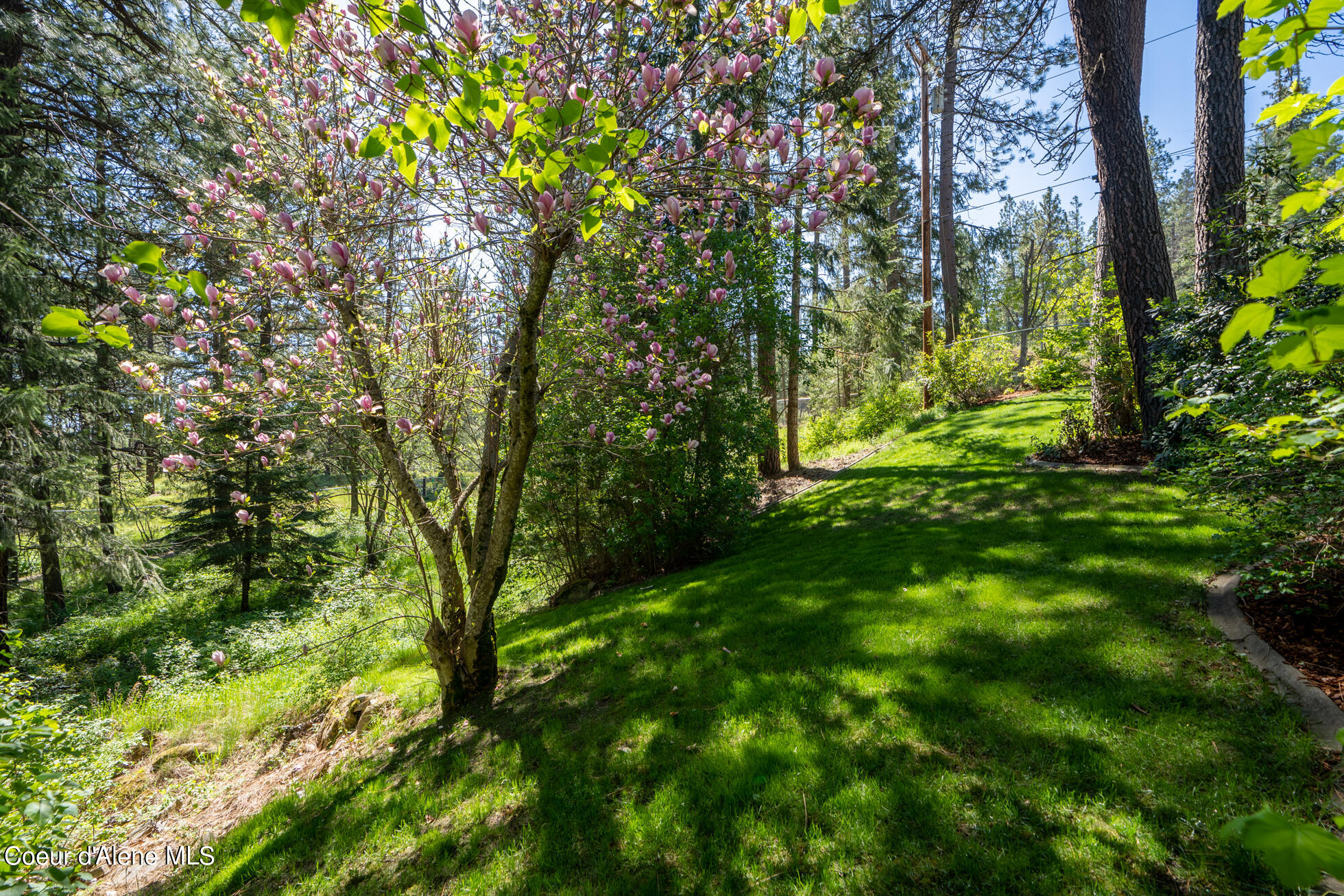 14709 W Riverview Drive, Post Falls, Idaho image 13