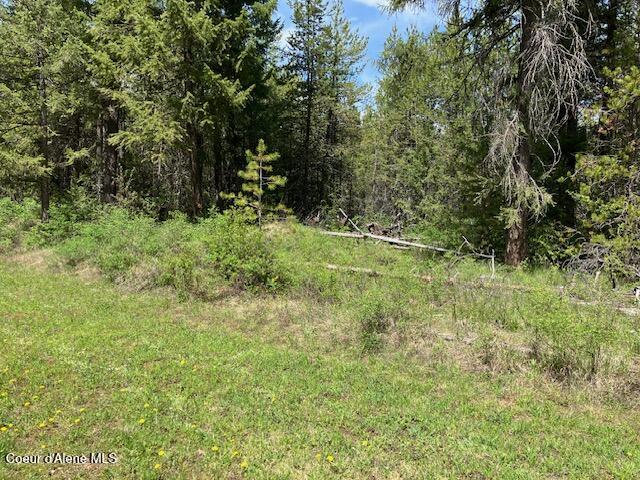 NNA Sierra Ln, Spirit Lake, Alaska image 3