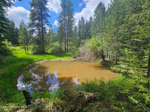 Vacant Land For Sale - NKA Little Carpenter Creek Creek<br/> Fernwood, ID 83830