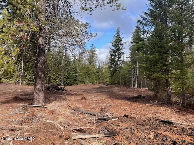Parcel 3 Wildberry Ln, Sagle, Idaho image 8