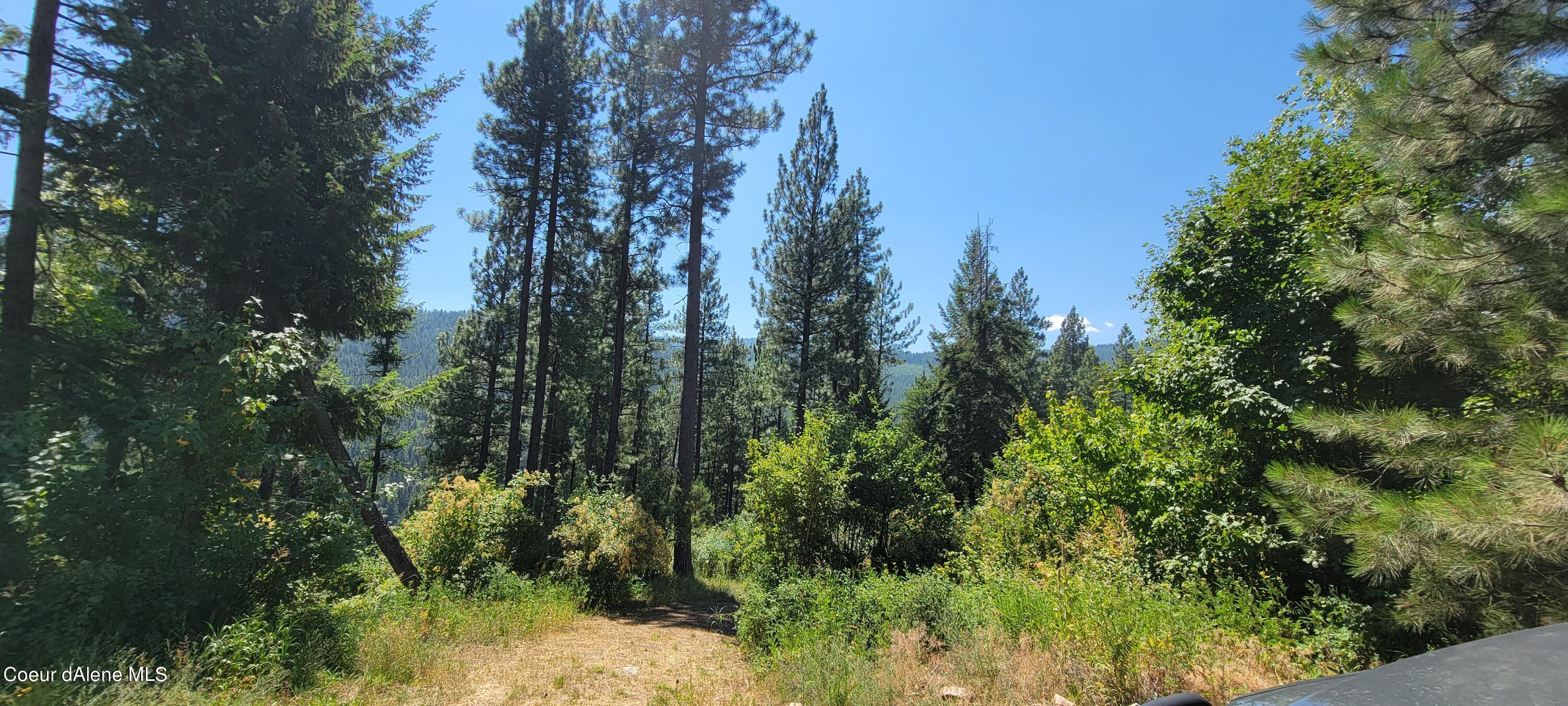 NNA Snowcat Lane, Bonners Ferry, Idaho image 8