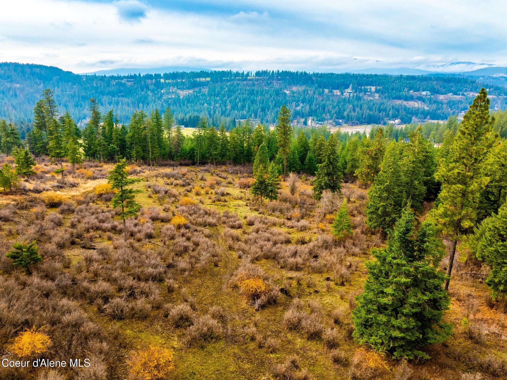 NKA Lisa Road (35 Acres), Harrison, Idaho image 5