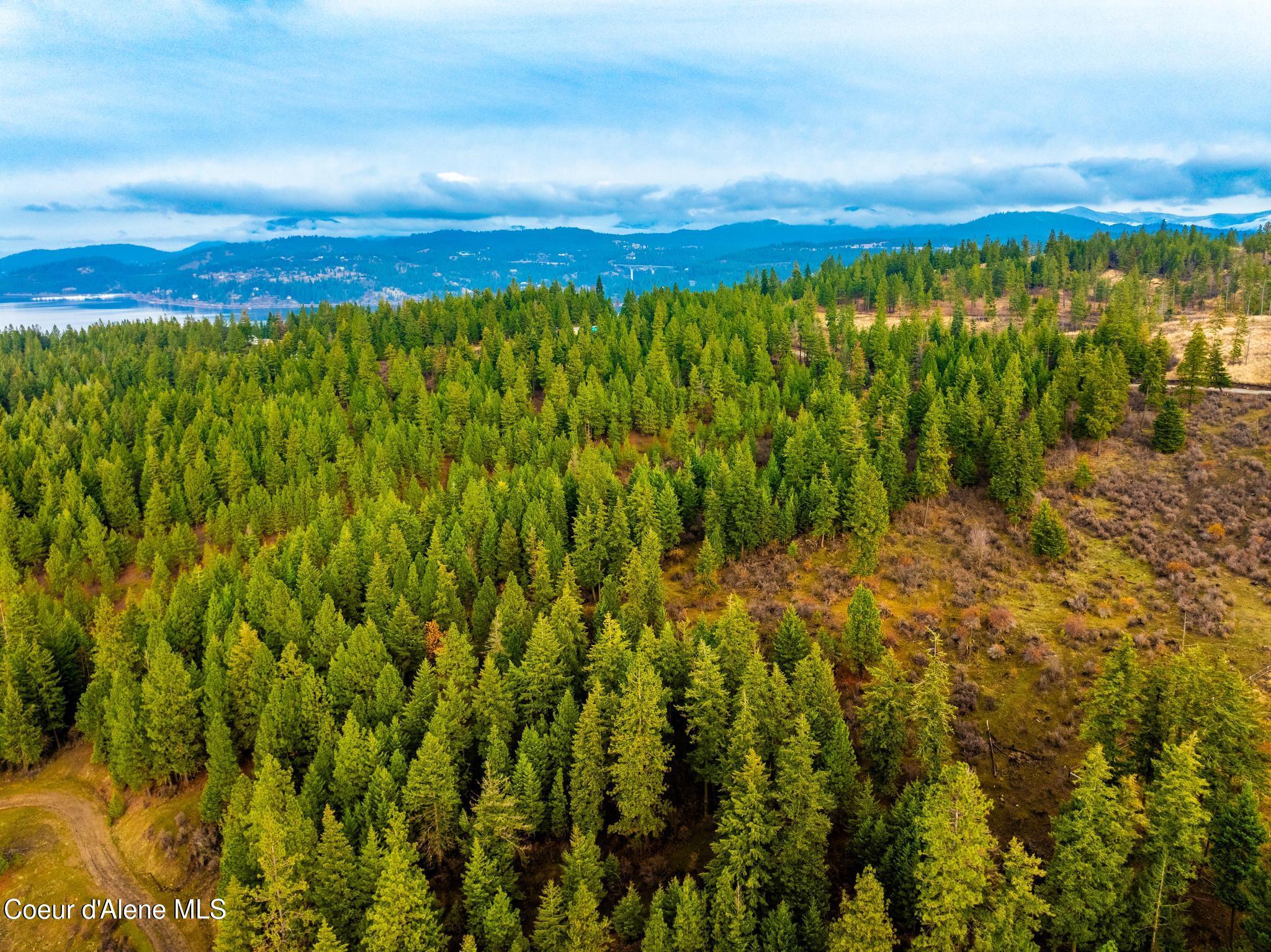 NKA Lisa Road (35 Acres), Harrison, Idaho image 7