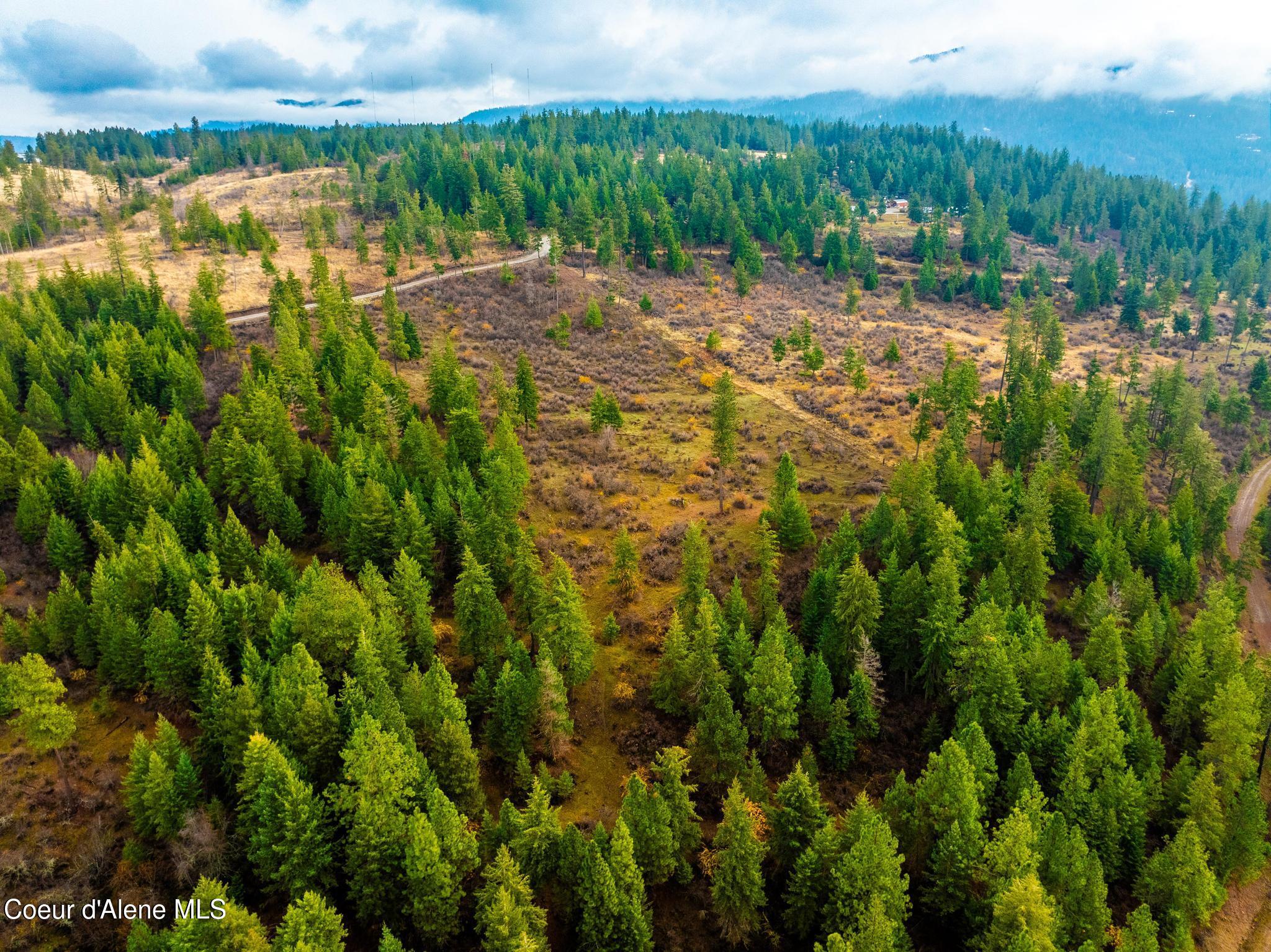 NKA Lisa Road (35 Acres), Harrison, Idaho image 10