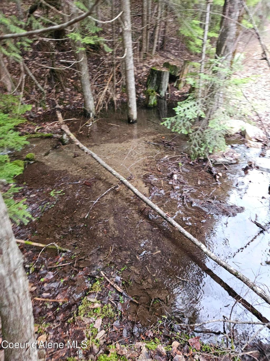 Photo of 940 Sled Run Run, Clark Fork, ID 83811 (MLS # 26-3760)