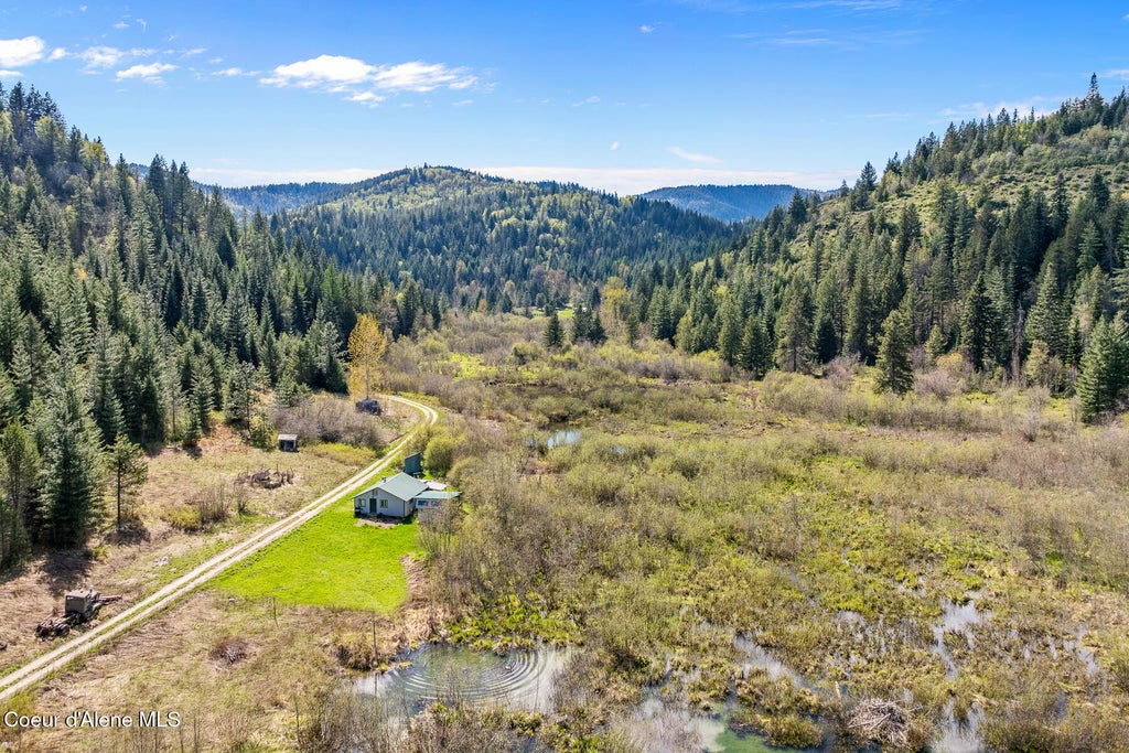 Photo of 1791 Pup Paw Trl #50 Acres, Priest River, ID 83856 (MLS # 26-8854)