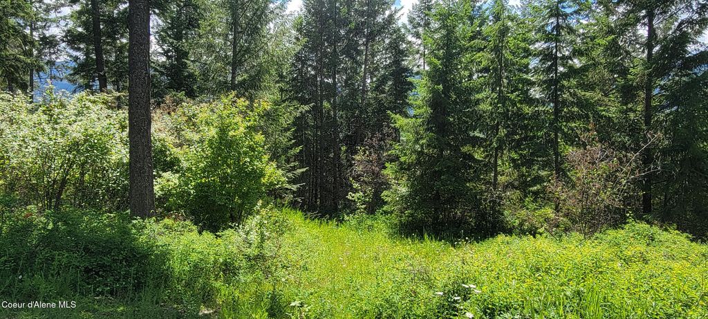 Photo of Smugglers Ln Tract A East, Bonners Ferry, ID 83805 (MLS # 26-4120)