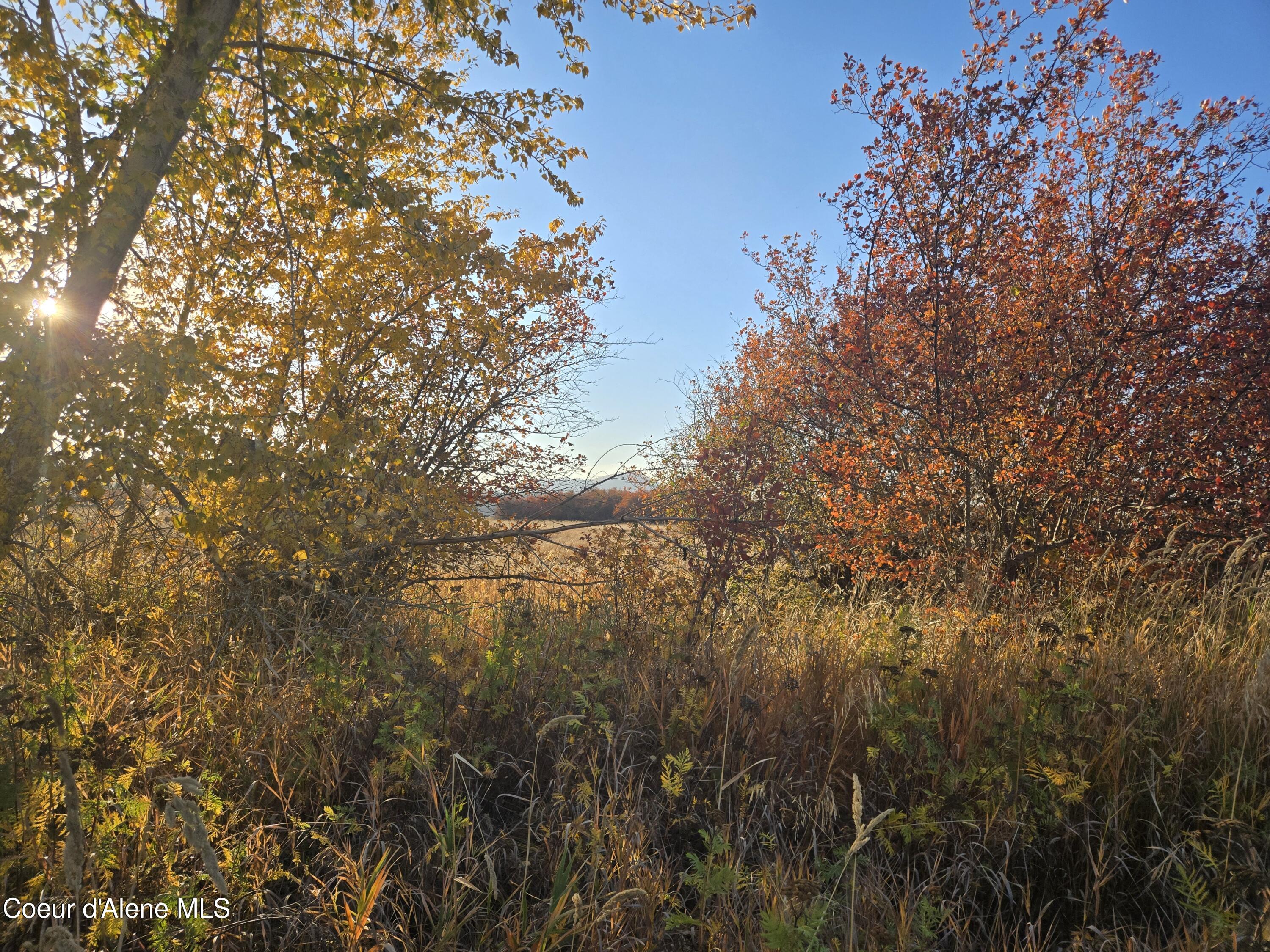 512 5th St, Tensed, Idaho image 6