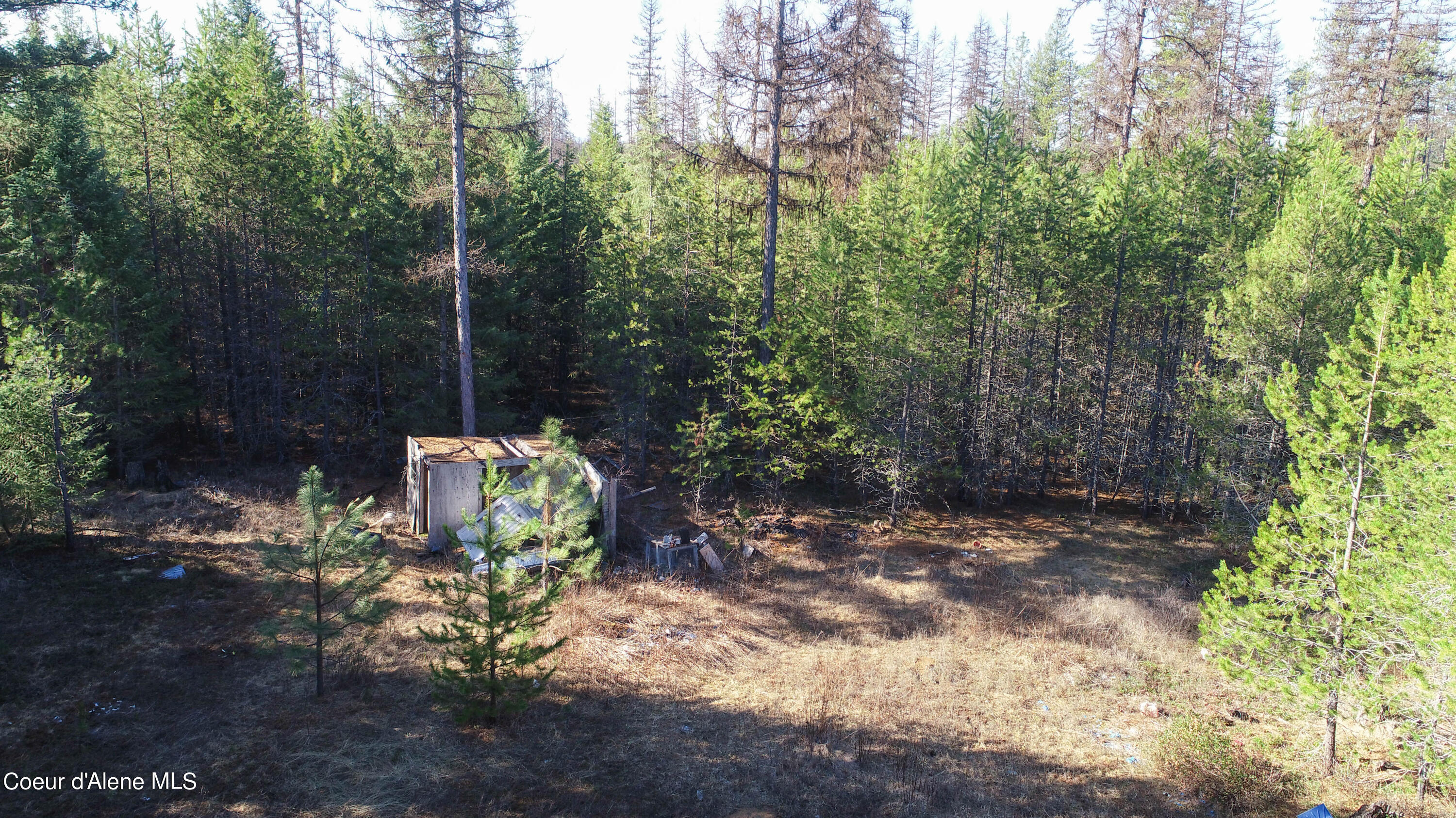 NKA Parley Ln, Oldtown, Idaho image 13