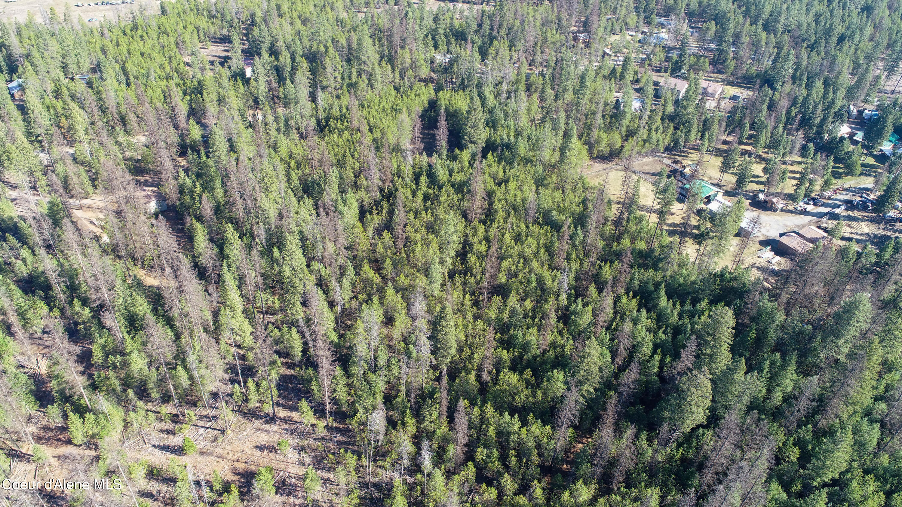 NKA Parley Ln, Oldtown, Idaho image 6