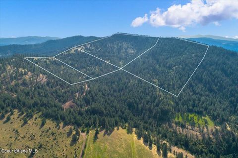 Vacant Land For Sale - NNA Alamo<br/> Harrison, ID 83833