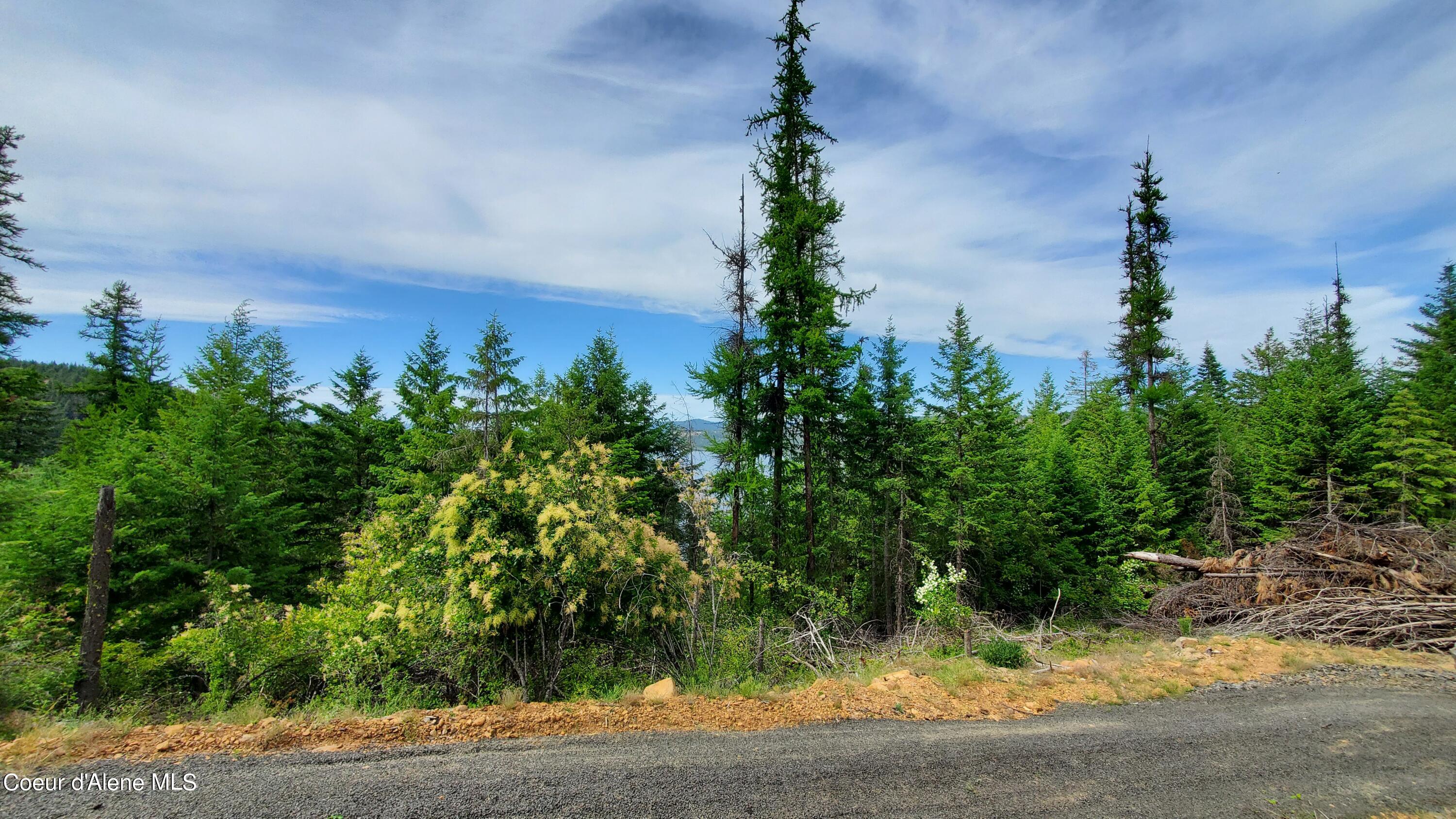 NKA W Parkside Ave., Worley, Idaho image 5