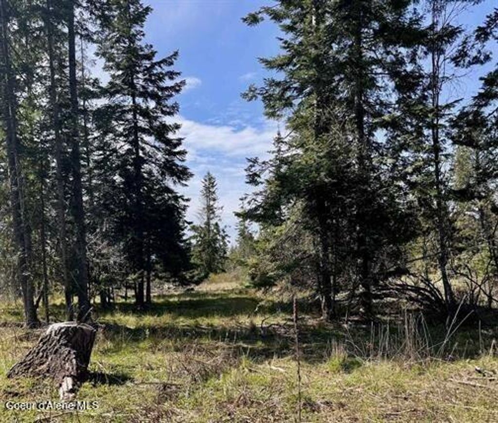 Photo of TBD Harris Ridge Ridge, Kooskia, ID 83539 (MLS # 26-4036)