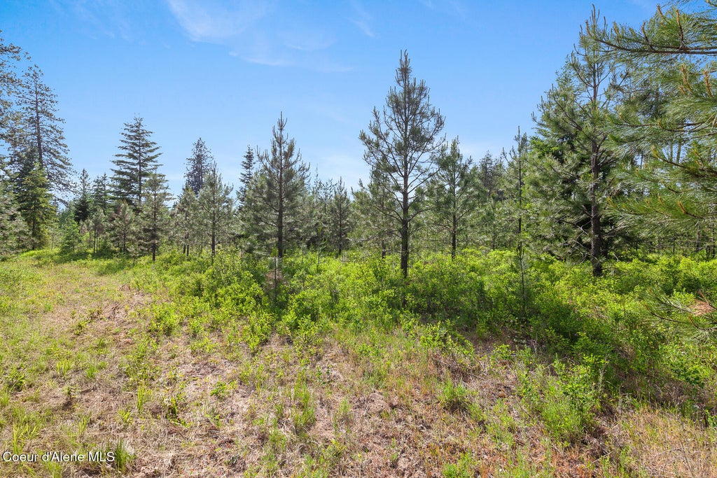 Photo of NKA Camrose, Rathdrum, ID 83858 (MLS # 26-8337)