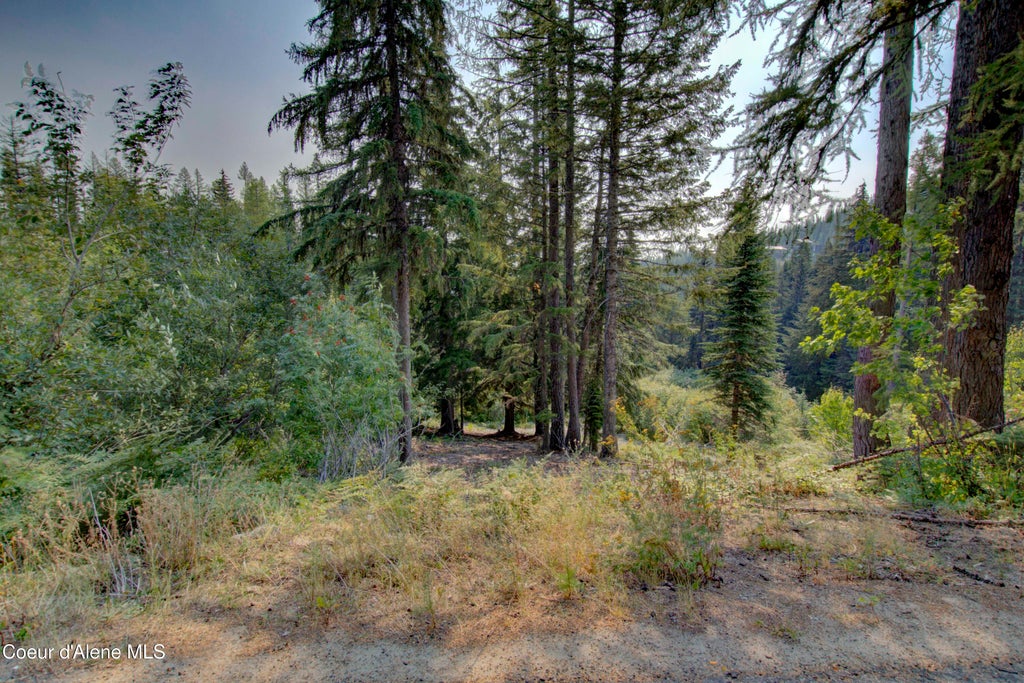 Photo of Blk4 Lot4 Ullr Dr Dr, Sandpoint, ID 83864 (MLS # 26-8538)