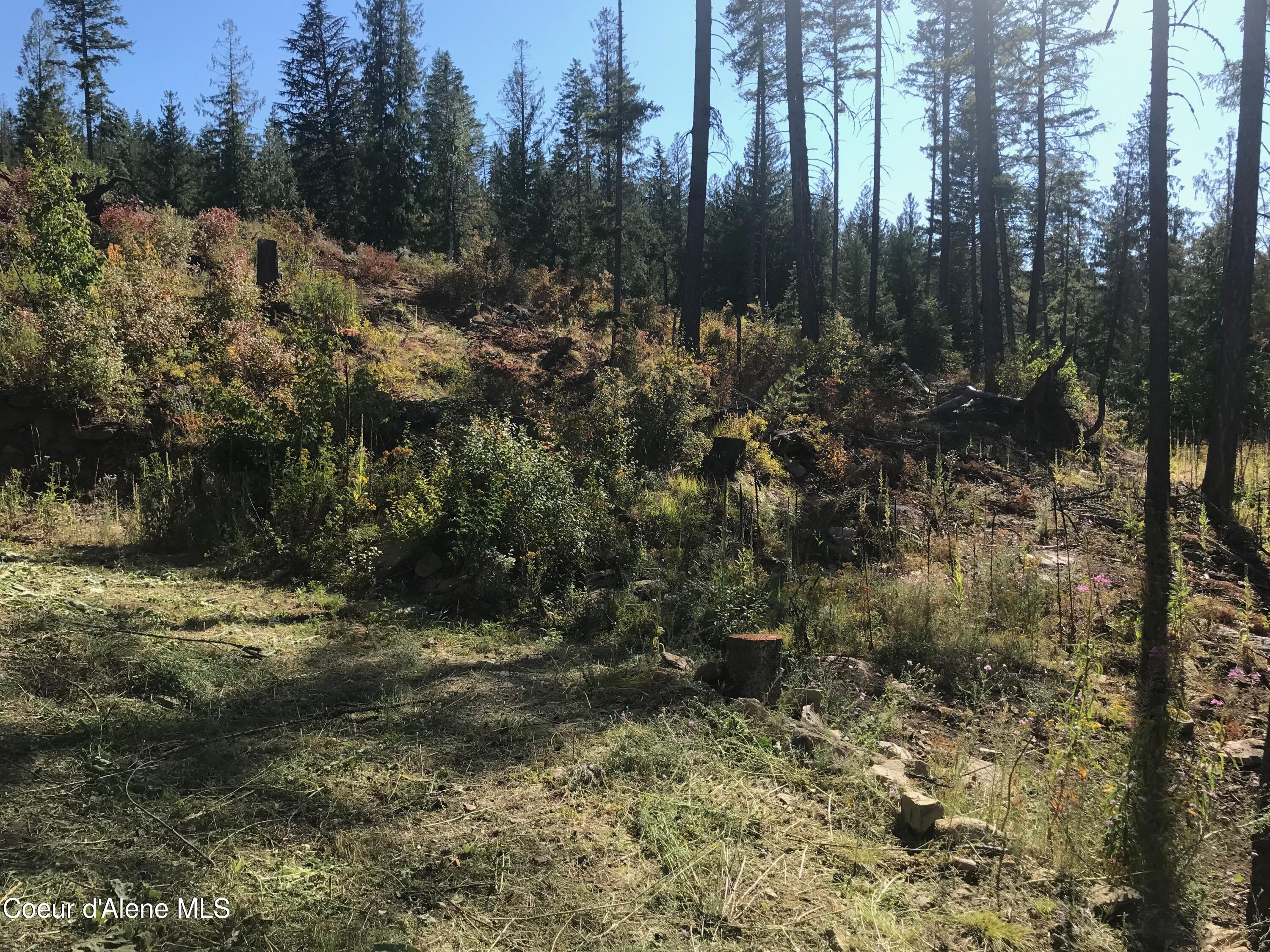 7460 W Channel Ln, Rathdrum, Alaska image 15