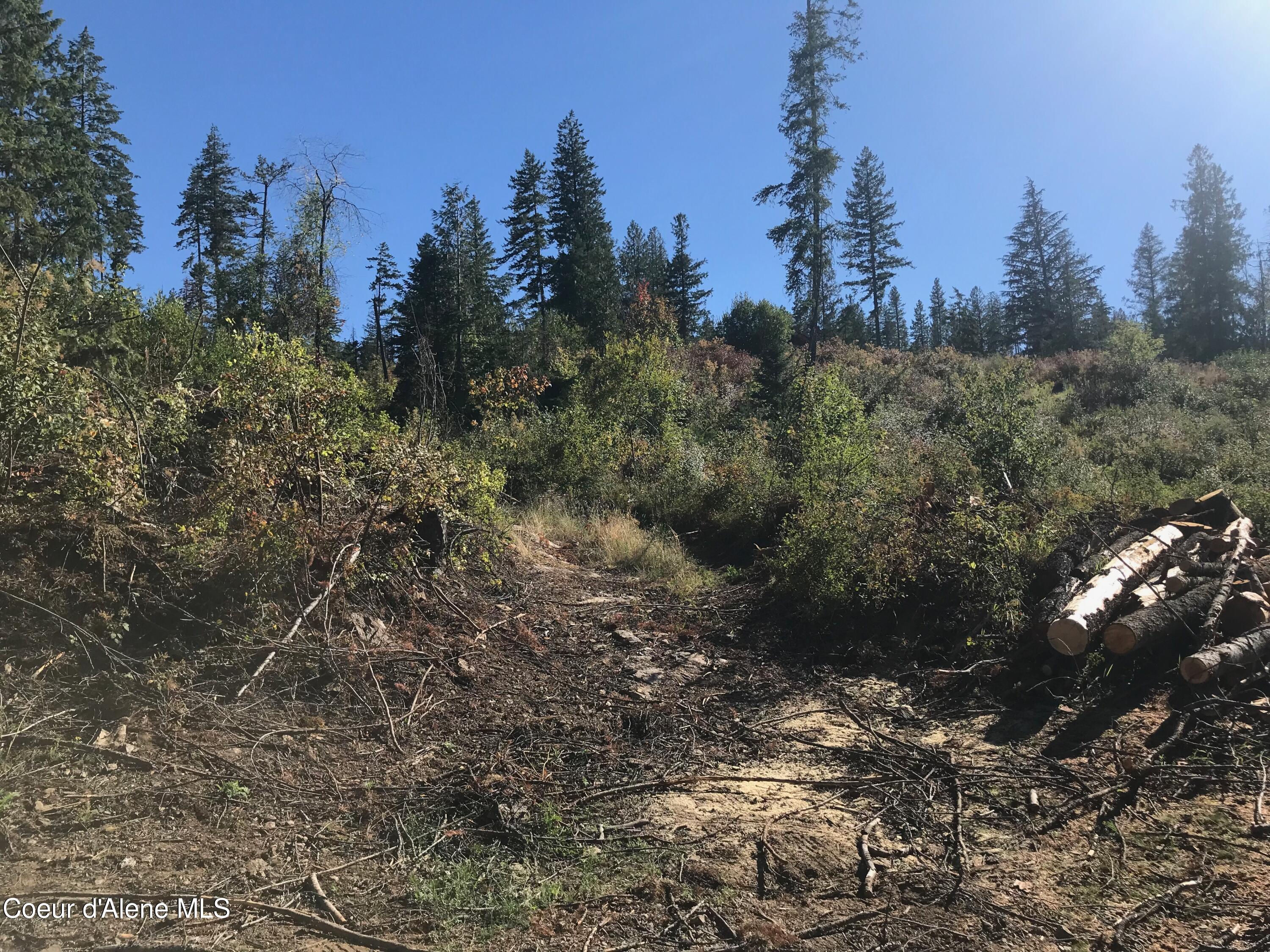 7460 W Channel Ln, Rathdrum, Alaska image 17