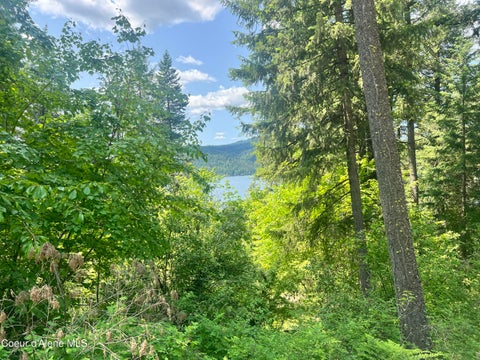 Vacant Land For Sale - 00NKA Lakeview Dr. Dr<br/> Harrison, ID 83833
