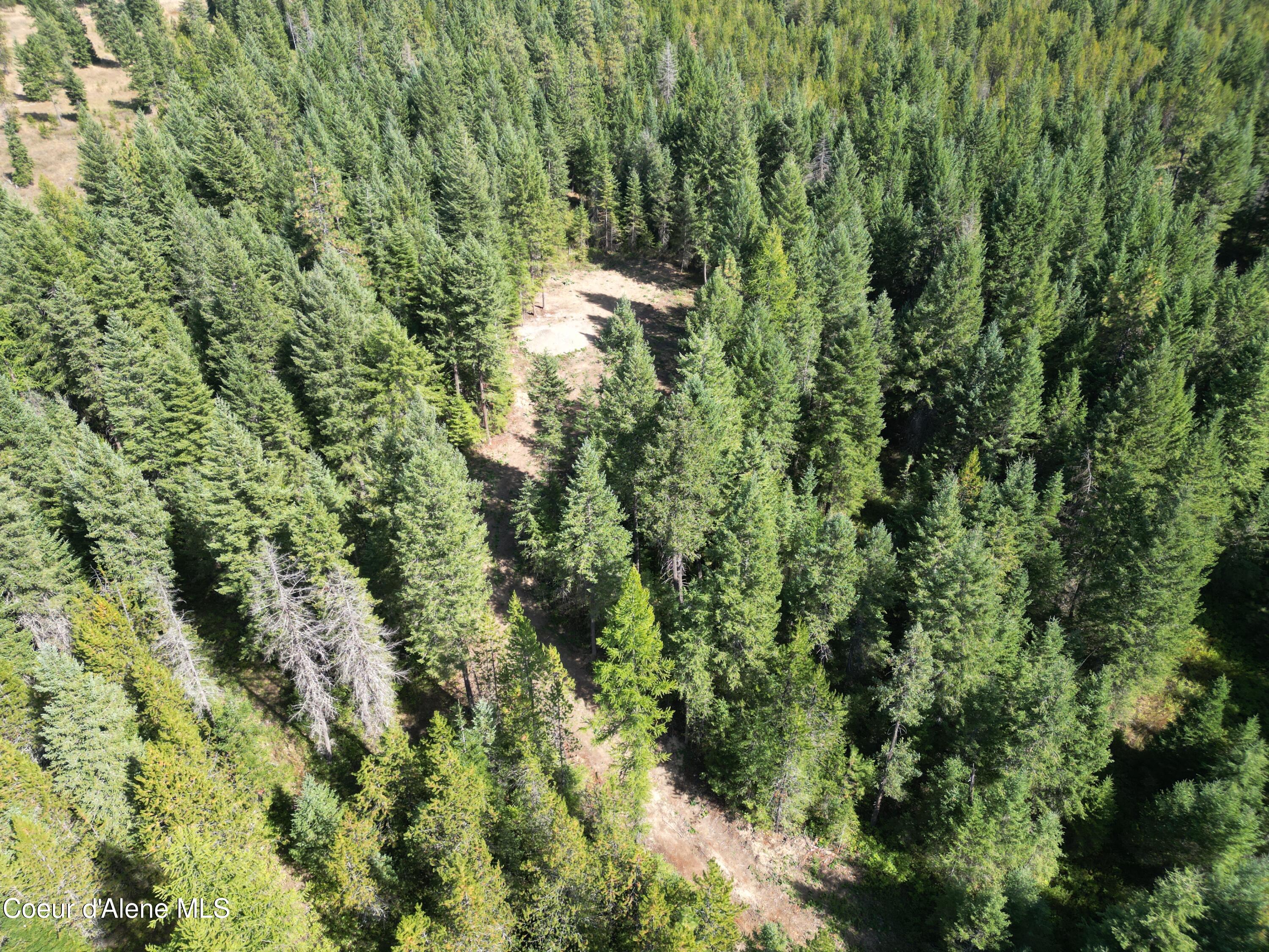 Lot 3 Werre Rd, Rathdrum, Idaho image 14