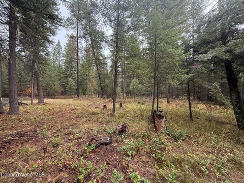 Vacant Land For Sale - 260 Deerhaven Ln Ln<br/> Fernwood, ID 83830