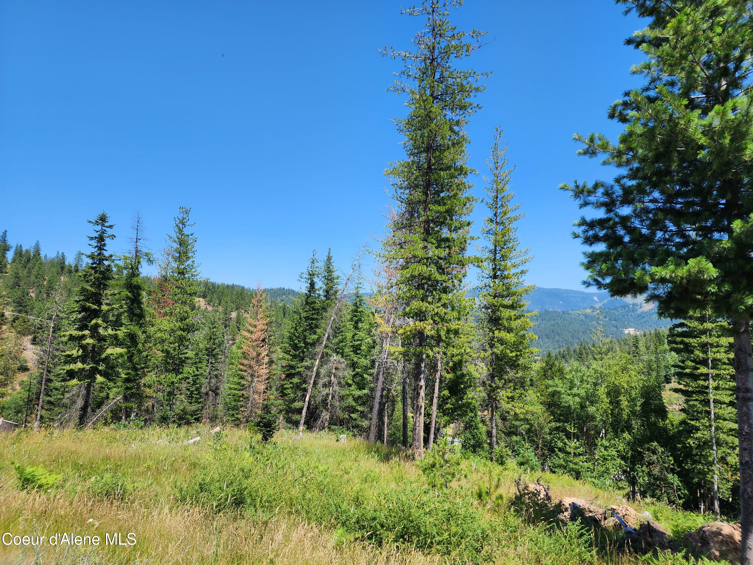 112 Blazing Saddle Ct, Pinehurst, Idaho image 1