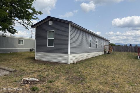 10734 Benoit Hayden ID 83835