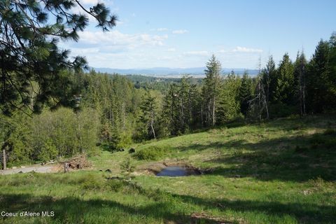 Vacant Land For Sale - NNA W Biggs Rd. Lot 1<br/> Rathdrum, ID 83858