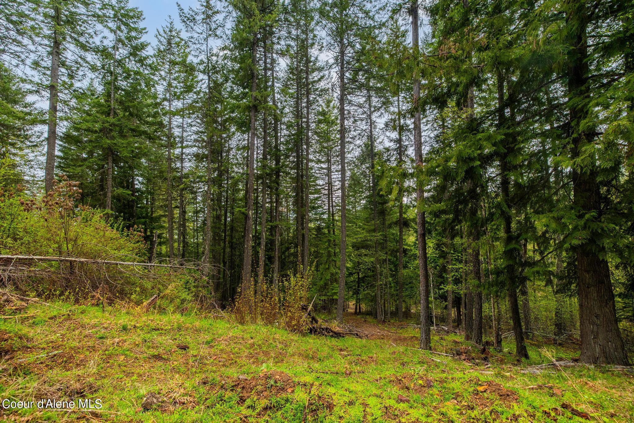 NKA Silver Creek, Clark Fork, Idaho image 12