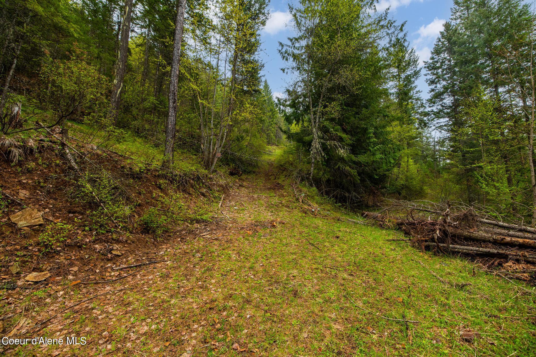 NKA Silver Creek, Clark Fork, Idaho image 13