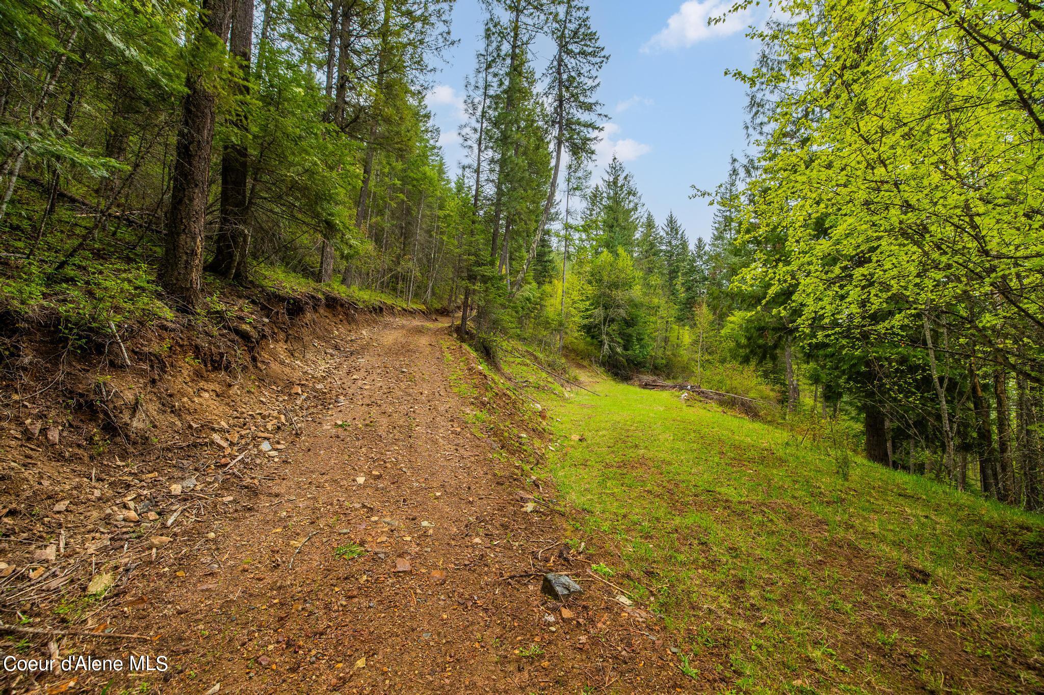 NKA Silver Creek, Clark Fork, Idaho image 10