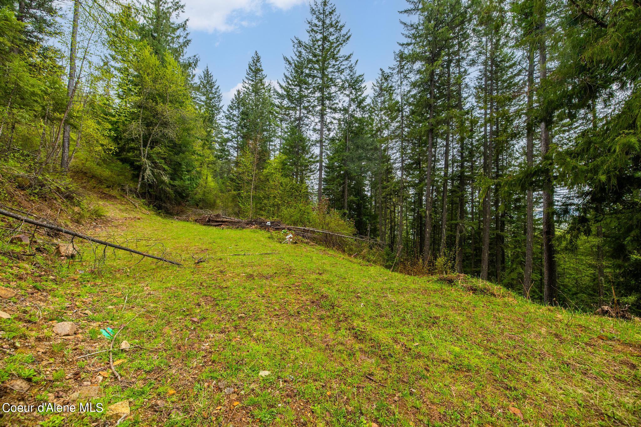 NKA Silver Creek, Clark Fork, Idaho image 11