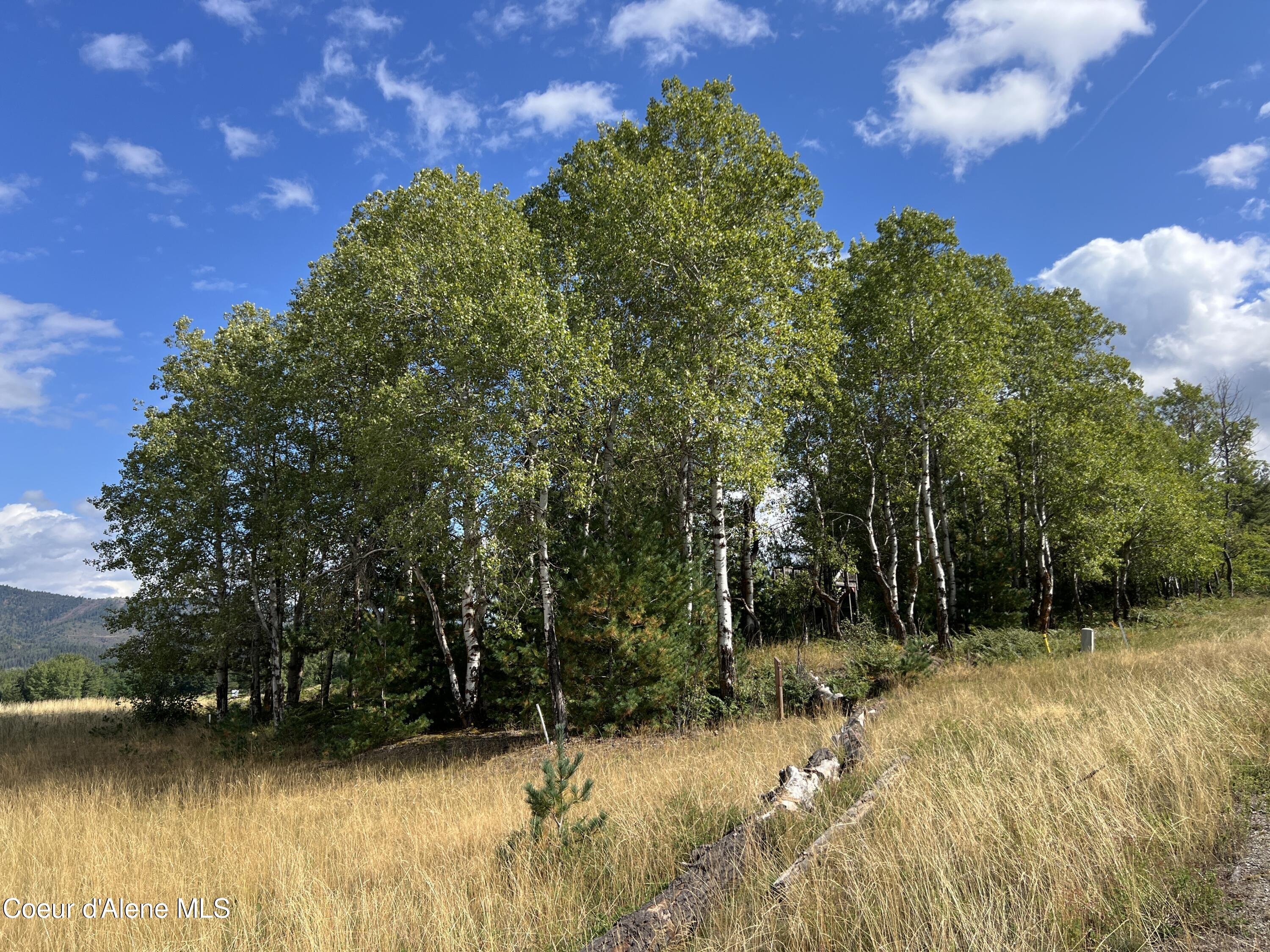 278 Diamond Hitch Dr, Kellogg, Alaska image 3