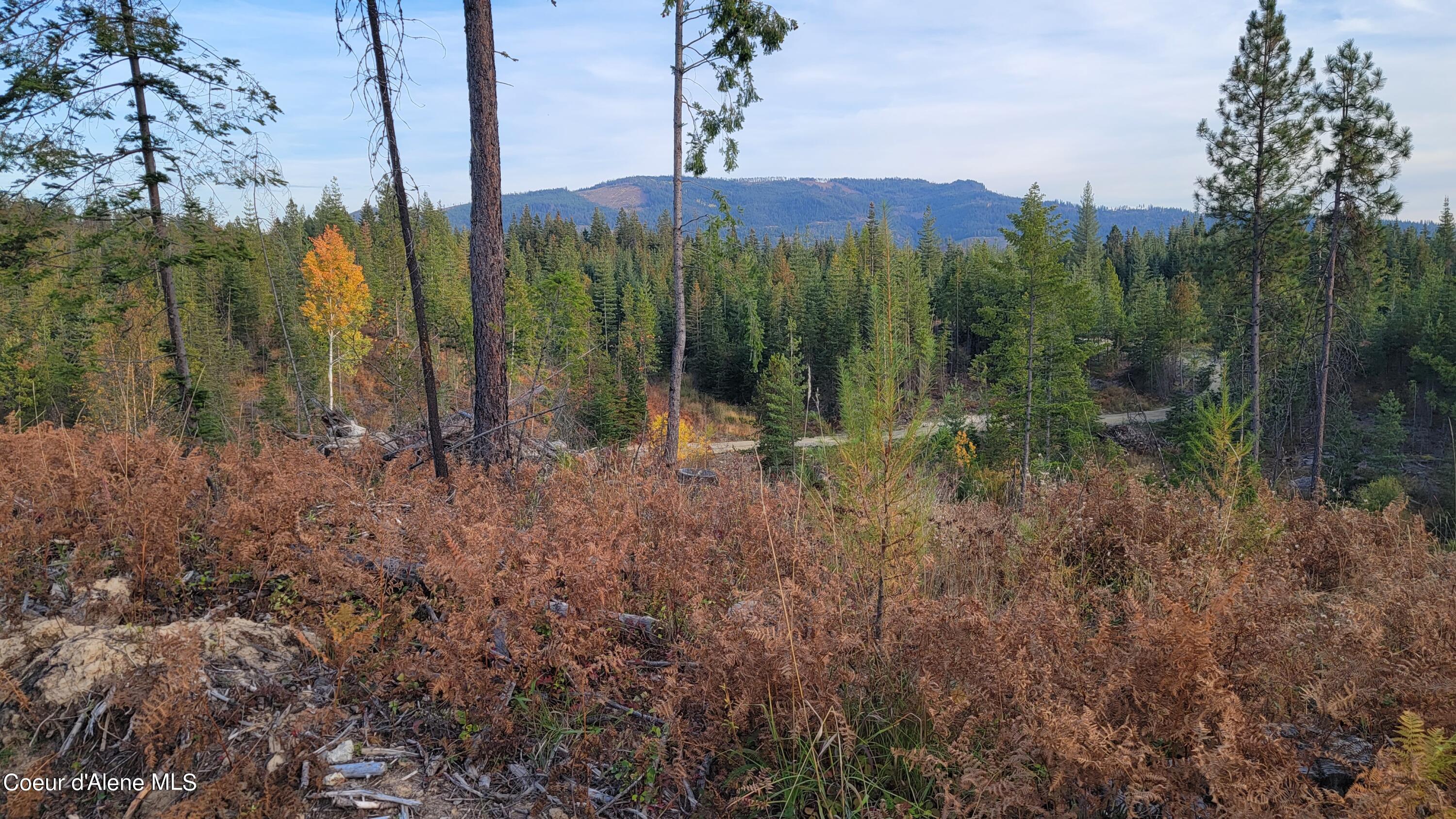 Lot 2 Pioneer Estates North, Priest River, Idaho image 8