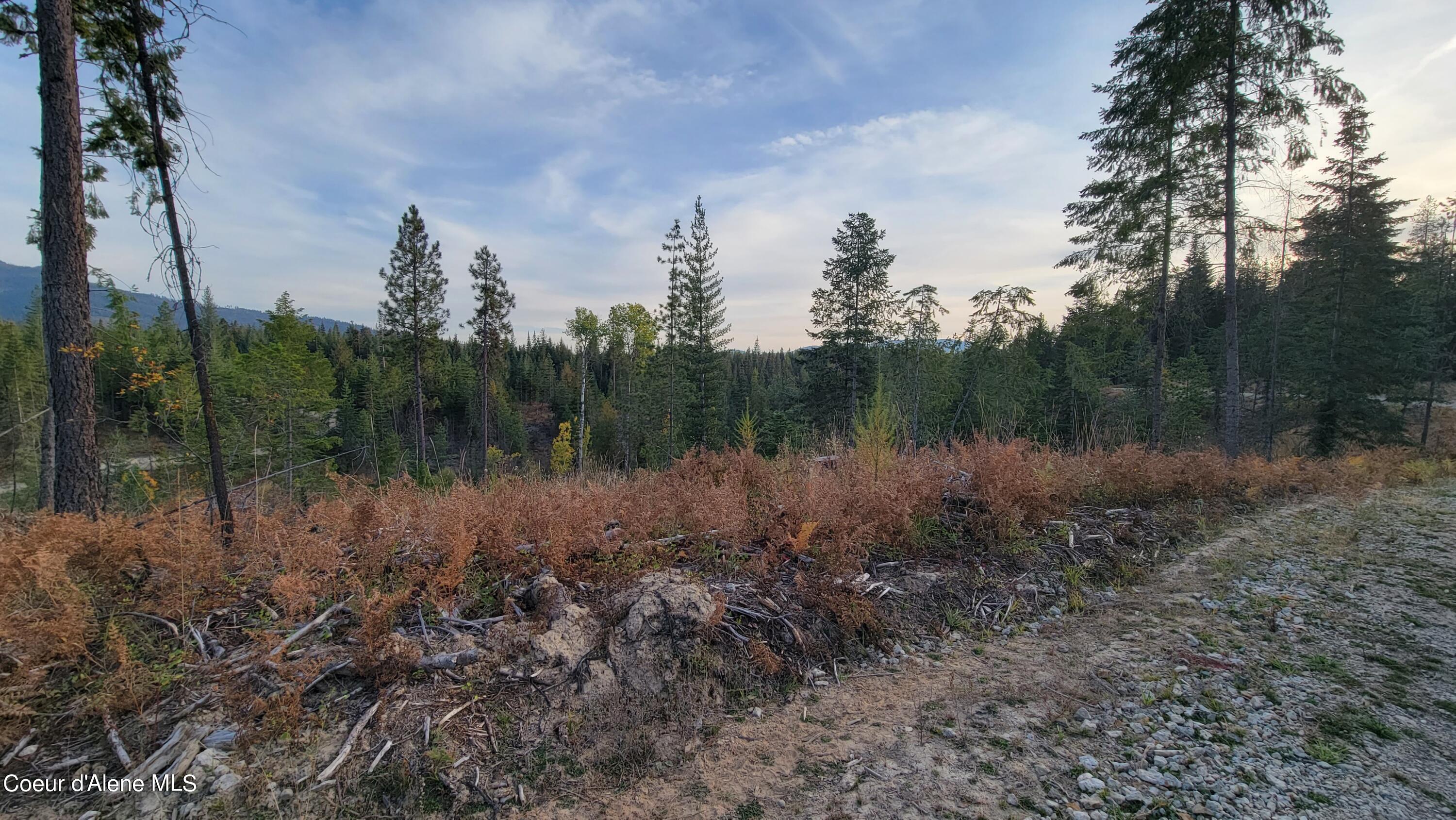 Lot 2 Pioneer Estates North, Priest River, Idaho image 11