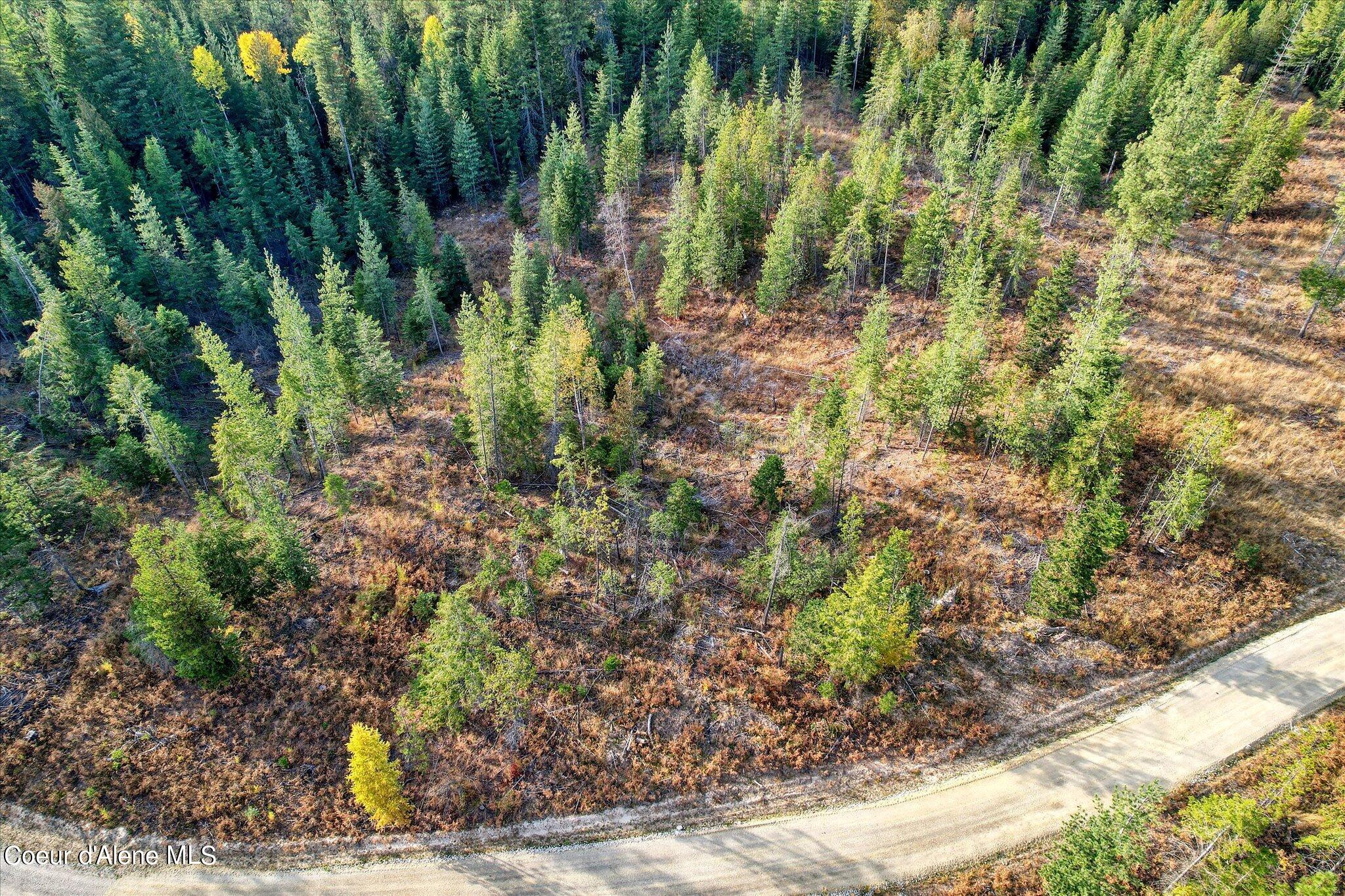 Lot 2 Pioneer Estates North, Priest River, Idaho image 4