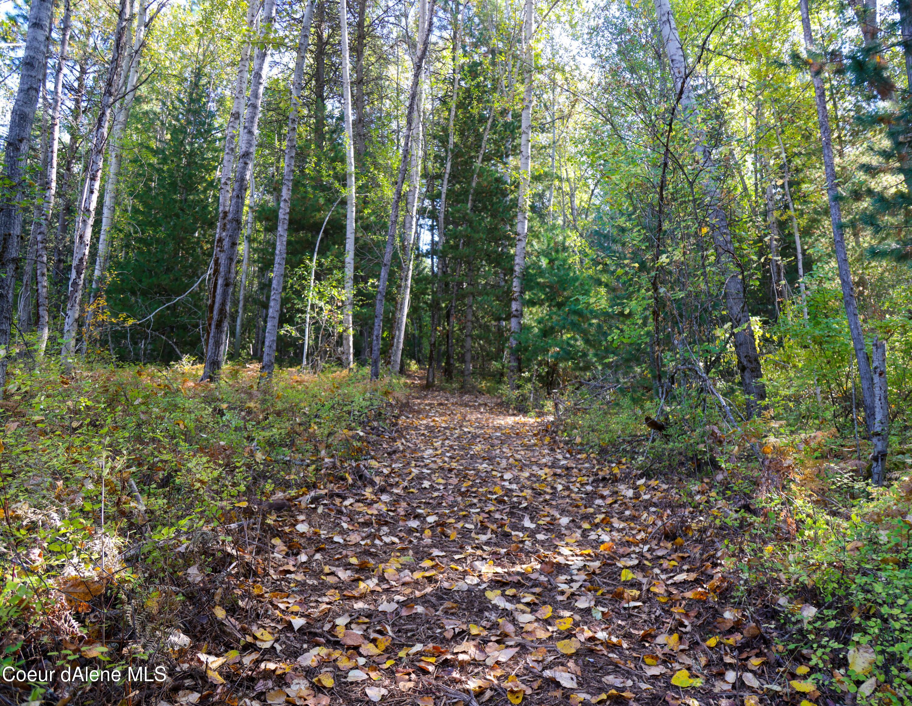 NNA 10.91ac French Gulch, Kingston, Idaho image 6