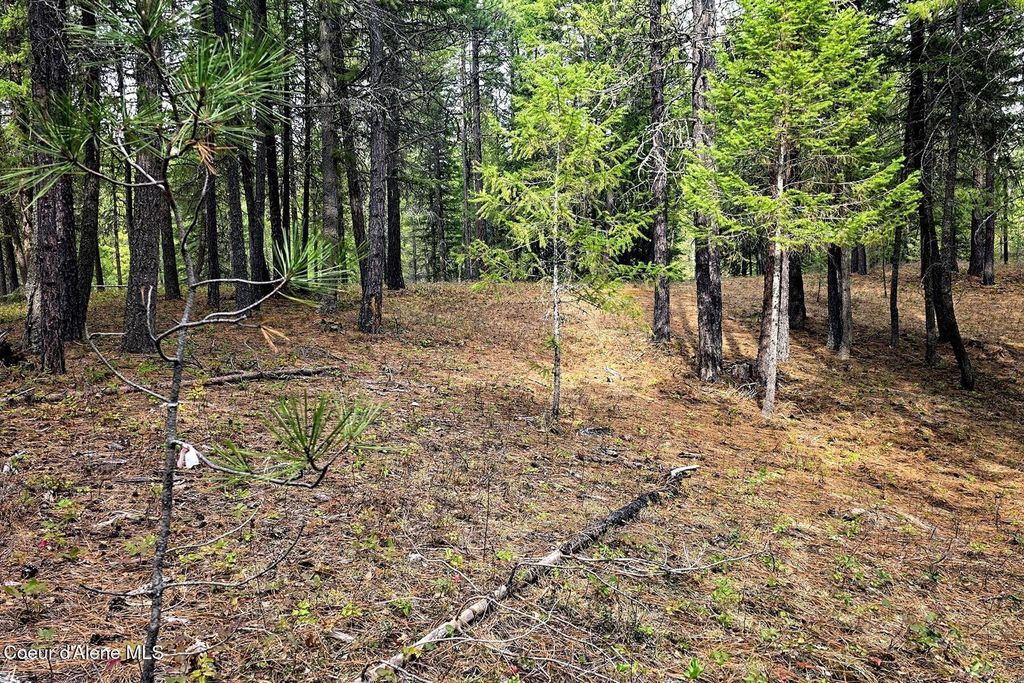 Photo of NLA Dusty, Naples, ID 83847 (MLS # 26-3391)