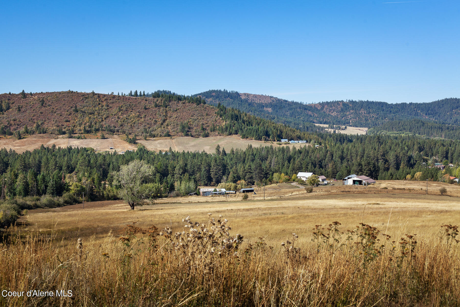 Thimbleberry Lane, Plummer, Pennsylvania image 14