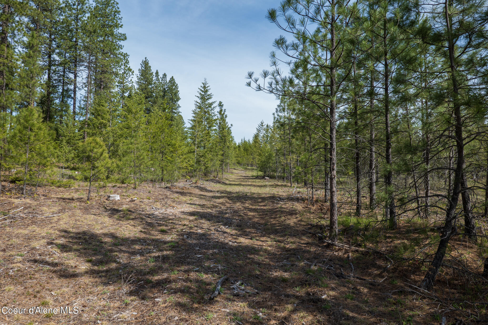 NKA Wilderness Rd, Naples, Idaho image 16